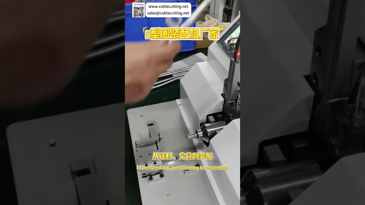 Máquina Automática de Montagem de Anéis O-Ring de Alta Eficiência - Fornecedor de Equipamentos Personalizados