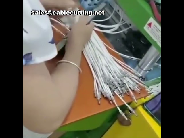 Máquina de Injeção Vertical de Alta Precisão para Moldagem de Plugues DC e Cabos com PVC, TPE, PP, PE