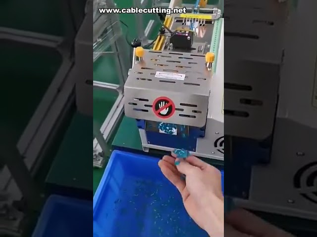 Máquina de Corte de Etiquetas de Papel | Cortadora de Adesivos | Equipamento para Rótulos Autoadesivos