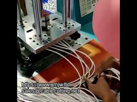 Máquina de Moldagem por Injeção para Cabos USB e Carregadores – WPM-15 | Automação Industrial