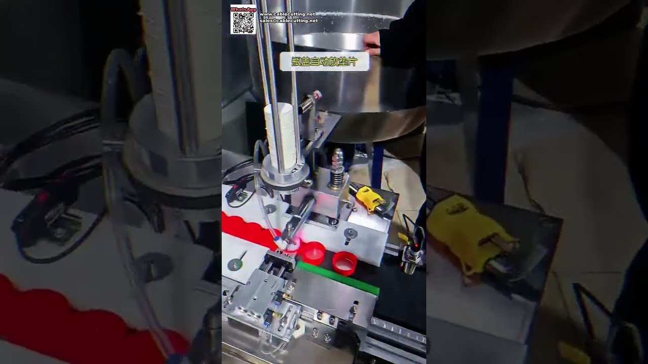 Máquina Automática de Montagem de Tampas e Equipamento de Detecção de Metais para Indústria Alimentícia