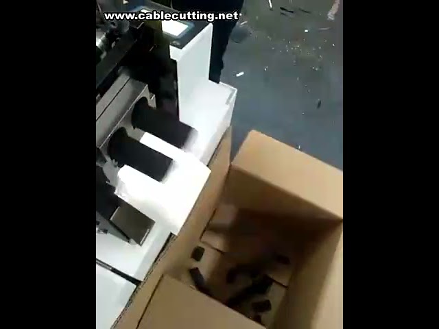 Máquina de Corte Automática de Elásticos | Preço e Qualidade Industrial