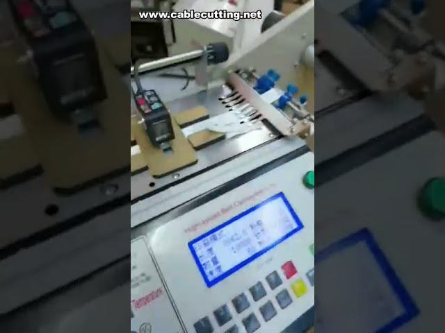 Máquina de Corte de Etiquetas a Quente e Frio | Cortadora Automática de Alta Velocidade