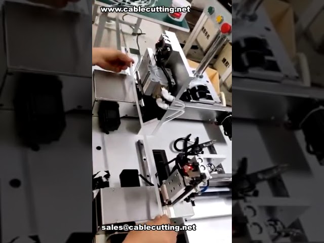 Máquina Personalizada de Aplicação Múltipla de Fitas para Mangueiras | Aplicação Simultânea 19mm e 30mm
